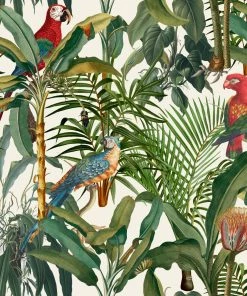 Mind The Gap Wallpaper & Paint Parrots Of Brasil Wallpaper