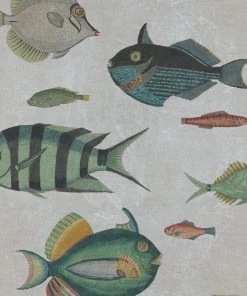 Mind The Gap Poissons Wallpaper Blue Skies Ahead