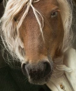 New Ibride Ragnastic Collector Portraits