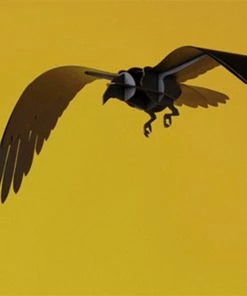 Ibride Adam Decorative Black Ravens Folk Couture