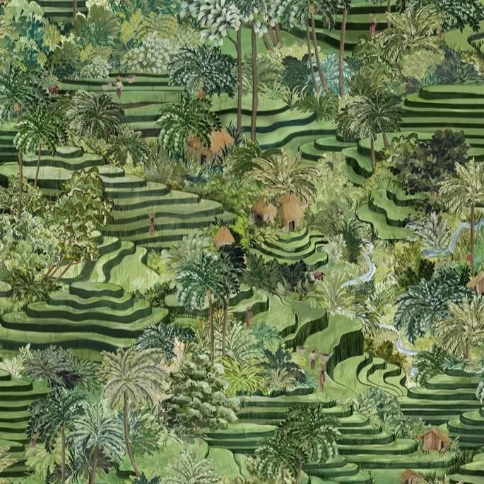 Brand Mckenzie Rice Terrace Wallpaper, Grass Green 3 Brand Mckenzie Rice Terrace Wallpaper, Grass Green