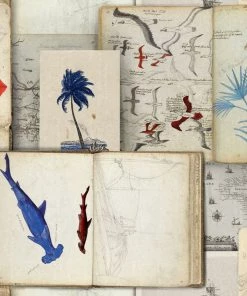 Mind The Gap Blue Skies Ahead Seaman's Journal Wallpaper