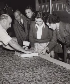 Liberty Fabrics Poppy Meadowfield Wallpaper In Pewter Blue