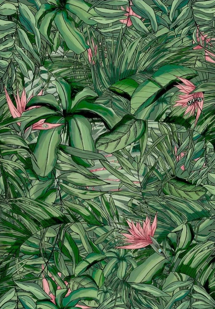 Brand Mckenzie Tropical Forest Forest Wallpaper, Dark Green & Pink Wallpaper & Paint 5 Brand Mckenzie Tropical Forest Forest Wallpaper, Dark Green & Pink Wallpaper & Paint