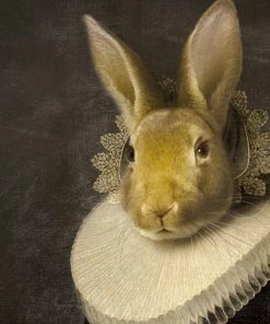 Ibride Zhao Collector Portrait Large Homeware