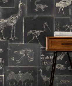 Mind The Gap Zooarchaeology Anthracite Wallpaper Wallpaper & Paint