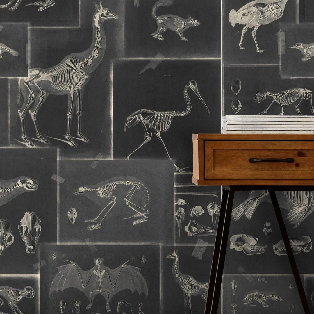 Mind The Gap Zooarchaeology Anthracite Wallpaper Wallpaper & Paint 4 Mind The Gap Zooarchaeology Anthracite Wallpaper Wallpaper & Paint