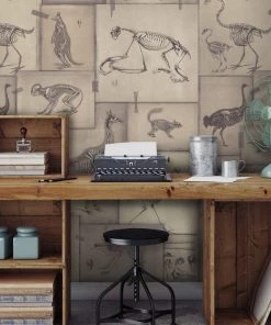 Mind The Gap Zooarchaeology Wallpaper Wallpaper & Paint