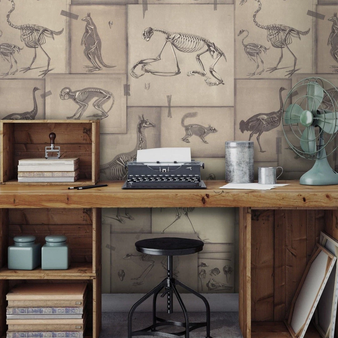 Mind The Gap Zooarchaeology Anthracite Wallpaper Wallpaper & Paint 6 Mind The Gap Zooarchaeology Anthracite Wallpaper Wallpaper & Paint